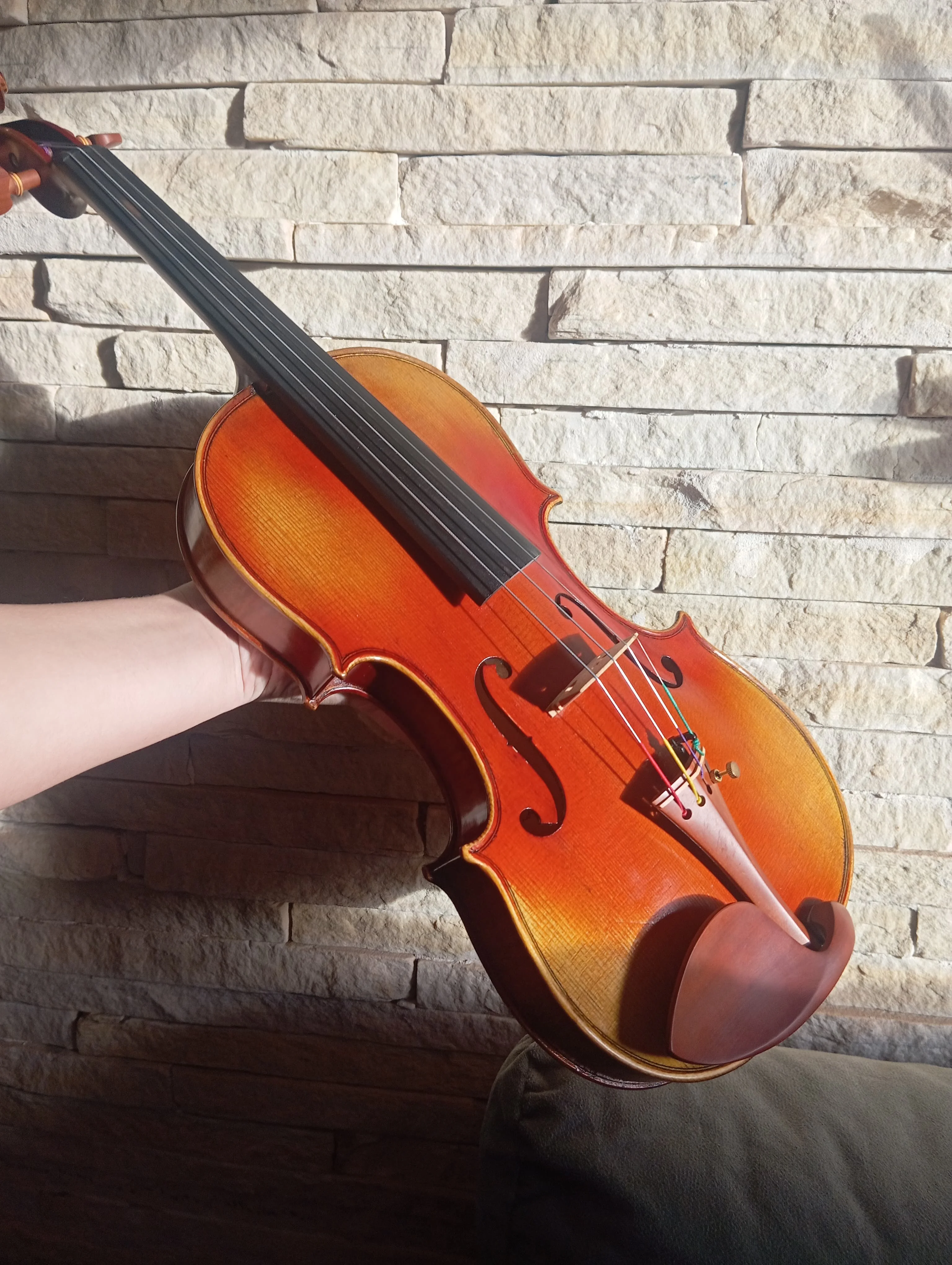 Foto Principal Violino