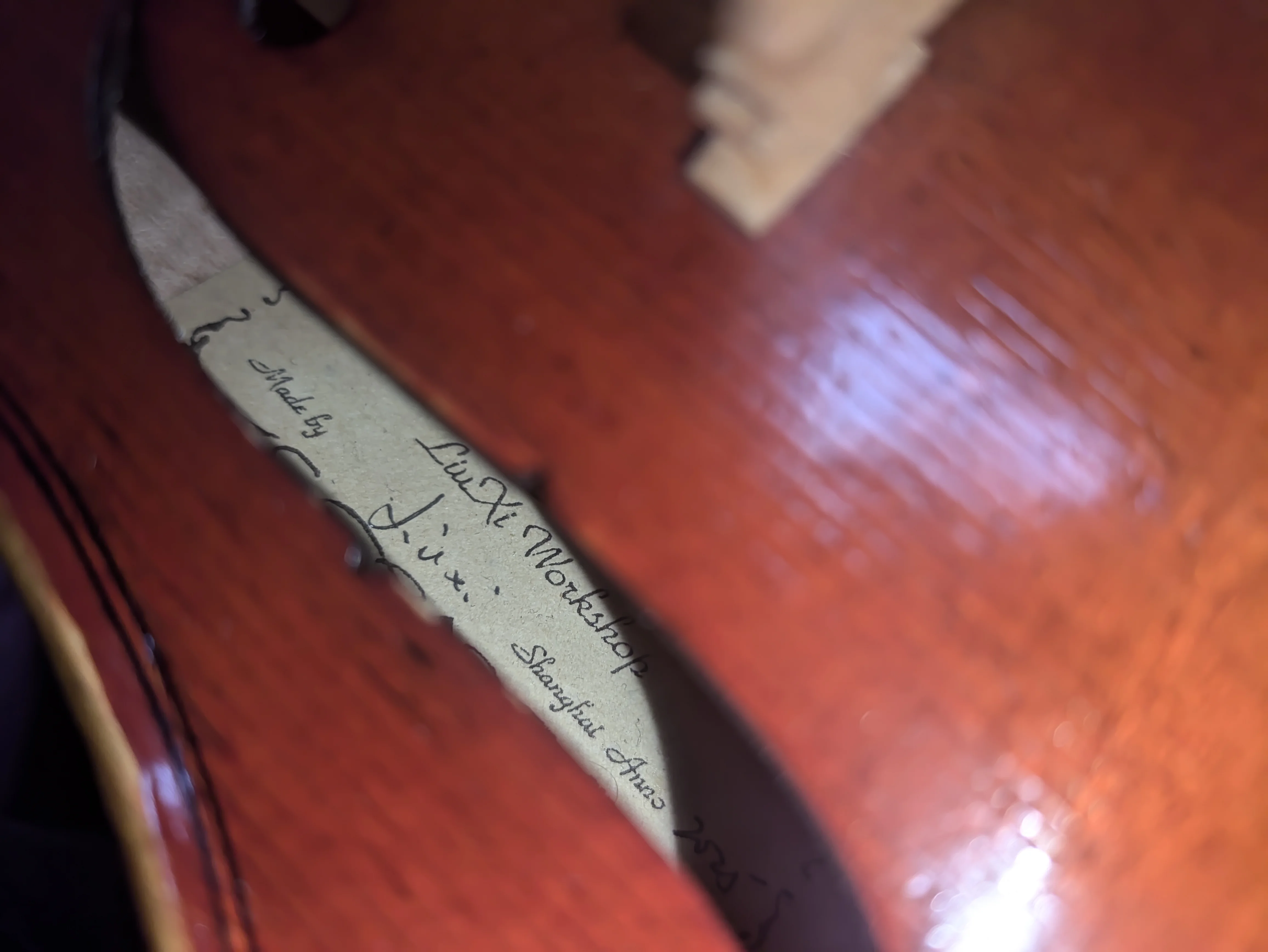 Violino 5